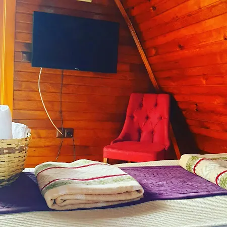 Zeyve Lavanta Tatil Koyu * Ermenek