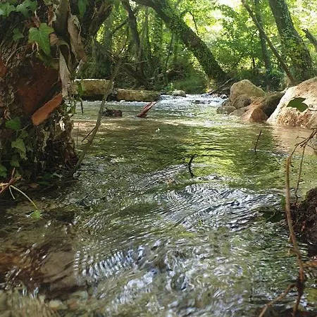 Zeyve Lavanta Tatil Koyu Szálloda